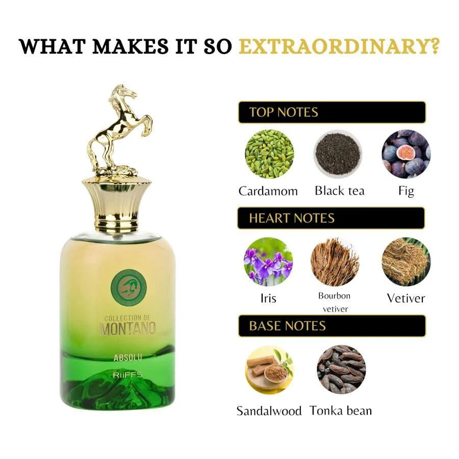 RIIFFS Montano Absolu EDP 100 ml